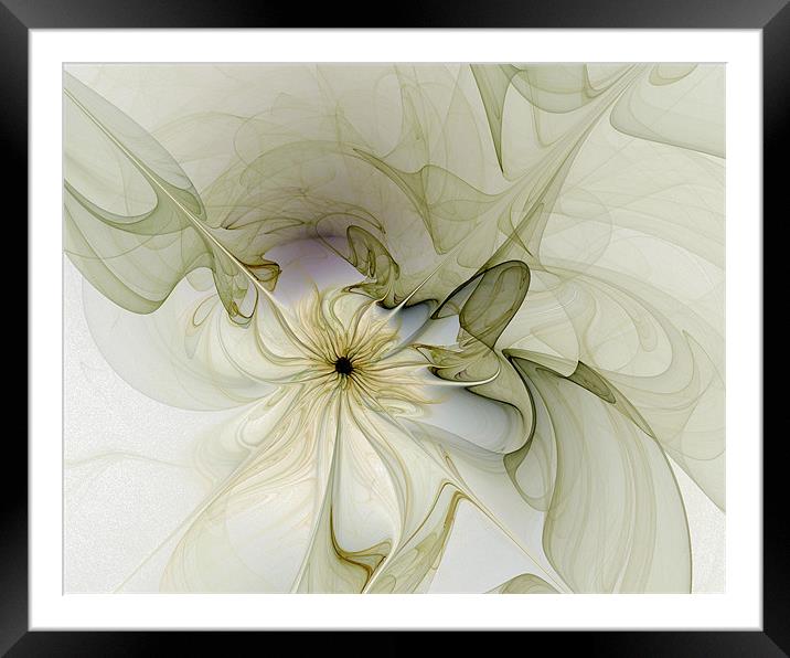 Silk Petals Framed Mounted Print by Amanda Moore