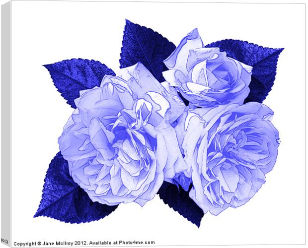 Blue Roses Canvas Print by Jane McIlroy