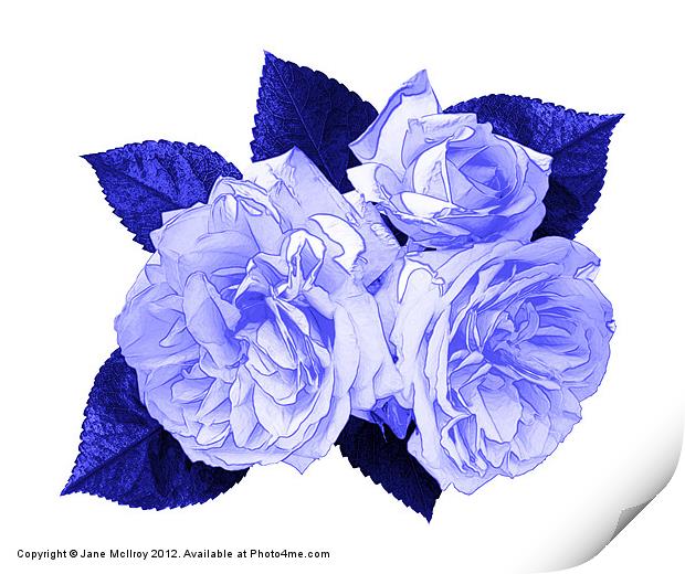 Blue Roses Print by Jane McIlroy