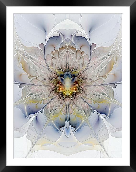 Symmetry Framed Mounted Print by Amanda Moore