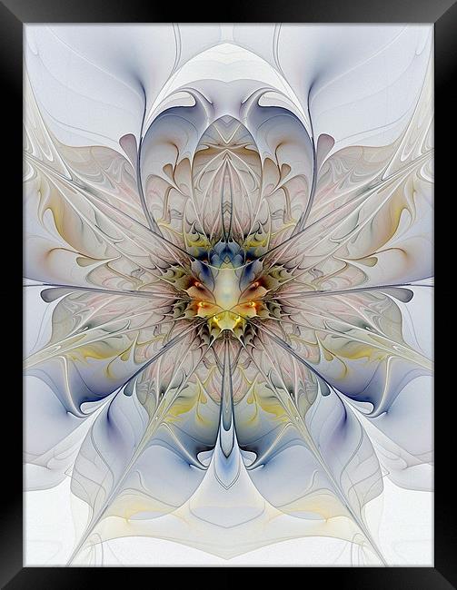Symmetry Framed Print by Amanda Moore