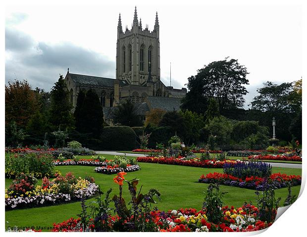 Bury St Edmunds Cathedral Print by Marianne Fuller