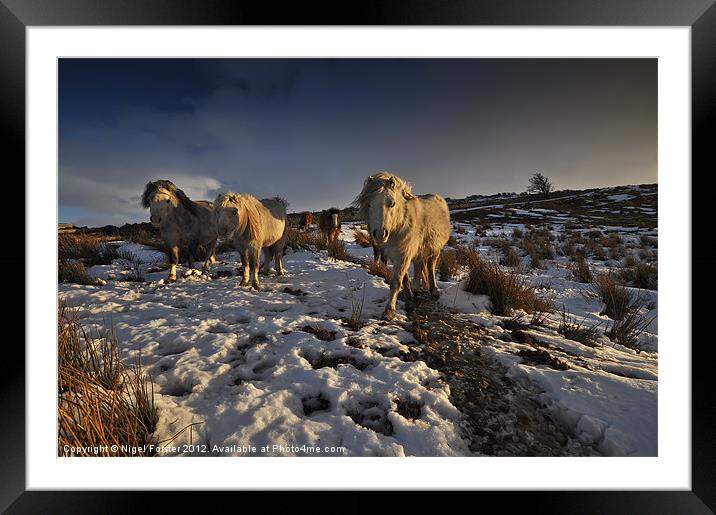 Beacons ponies Framed Mounted Print by Creative Photography Wales