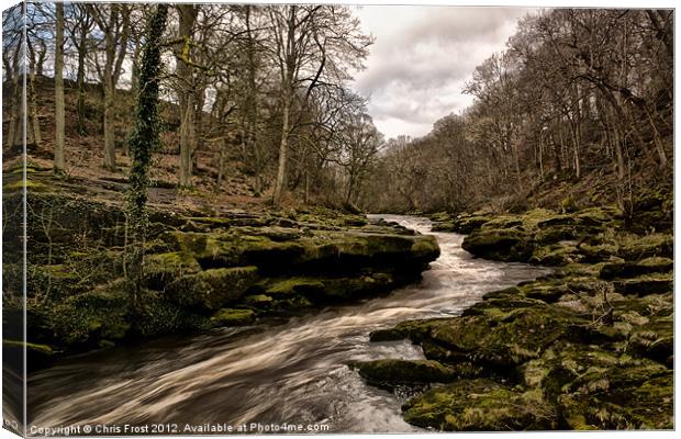 The Strid Squeeze Canvas Print by Chris Frost