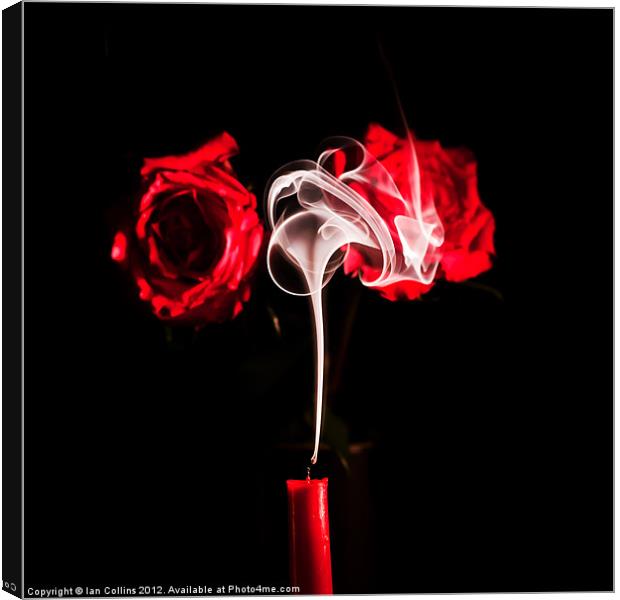 Smoking Roses Canvas Print by Ian Collins
