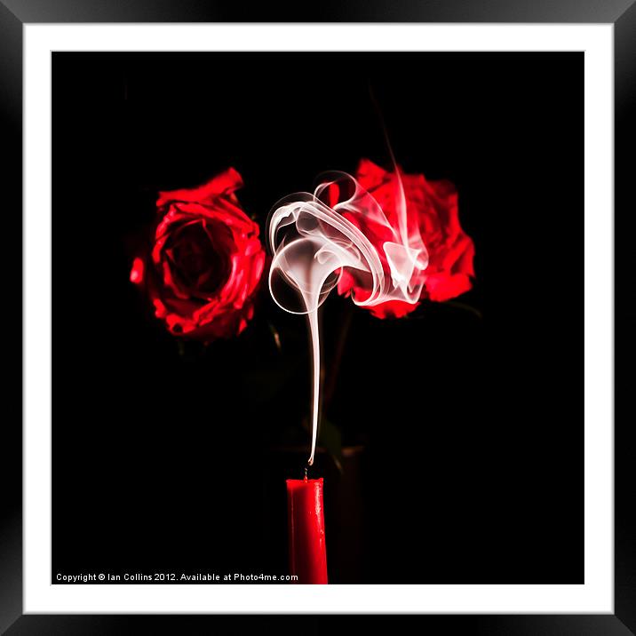 Smoking Roses Framed Mounted Print by Ian Collins