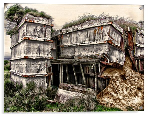 Derelict Building Acrylic by Fiona Messenger