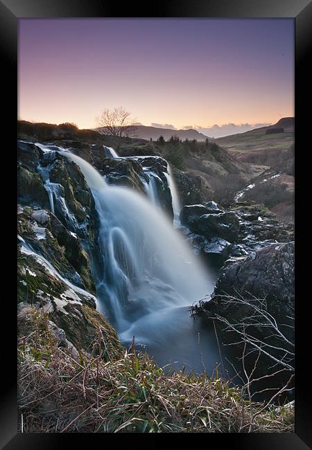 Loup of Fintry Framed Print by Andrew Jack