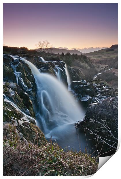 Loup of Fintry Print by Andrew Jack