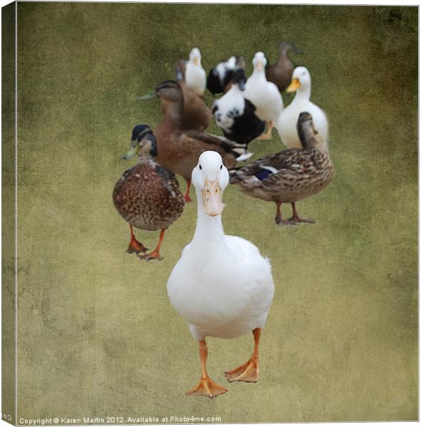 Ducks Approaching Canvas Print by Karen Martin
