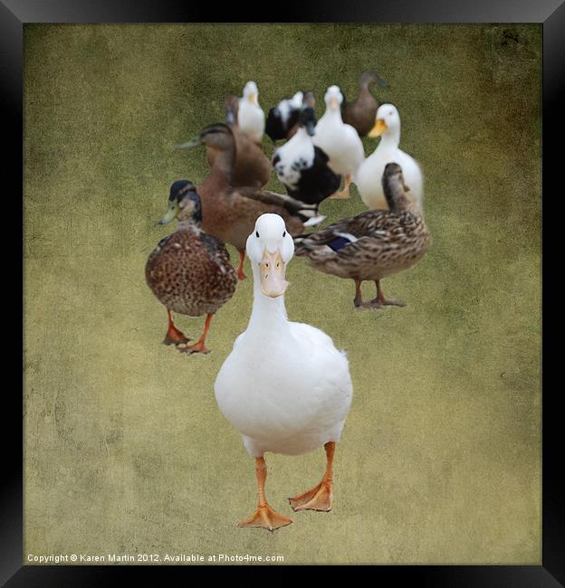 Ducks Approaching Framed Print by Karen Martin
