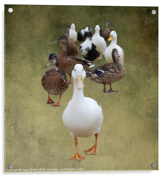 Ducks Approaching Acrylic by Karen Martin