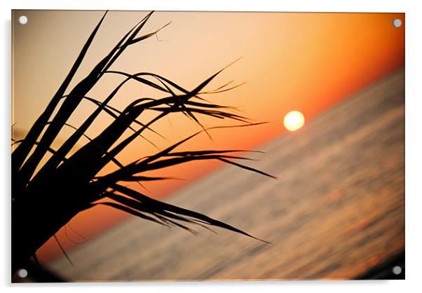 Cyprus Sunset Acrylic by Karen McGrath