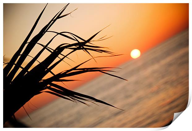 Cyprus Sunset Print by Karen McGrath