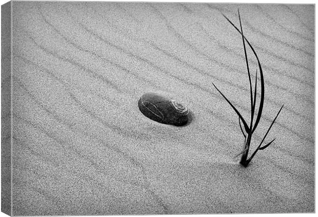 SAND GRASS Canvas Print by Anthony R Dudley (LRPS)