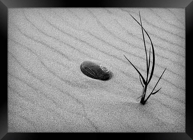 SAND GRASS Framed Print by Anthony R Dudley (LRPS)