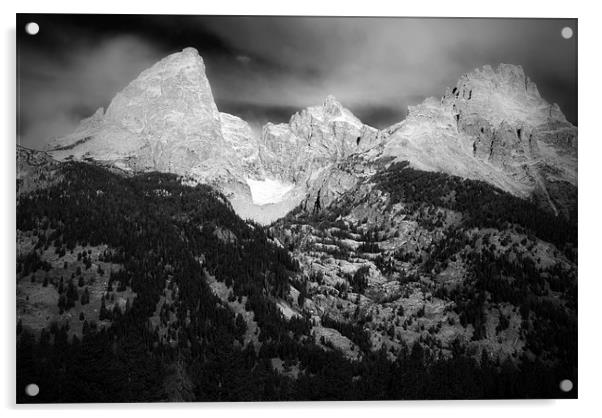 Teton Mountains Acrylic by Mary Lane