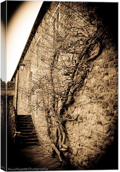 stairway to whenever Canvas Print by paul forgette