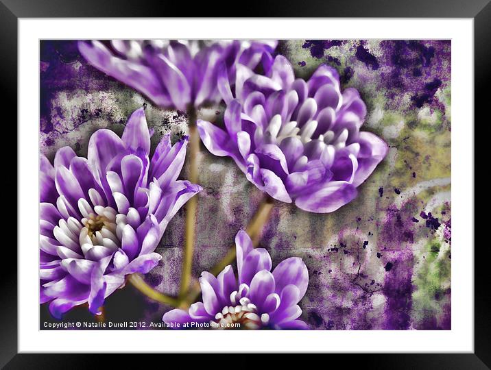 Textured Lilac Framed Mounted Print by Natalie Durell