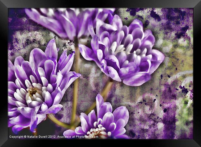 Textured Lilac Framed Print by Natalie Durell