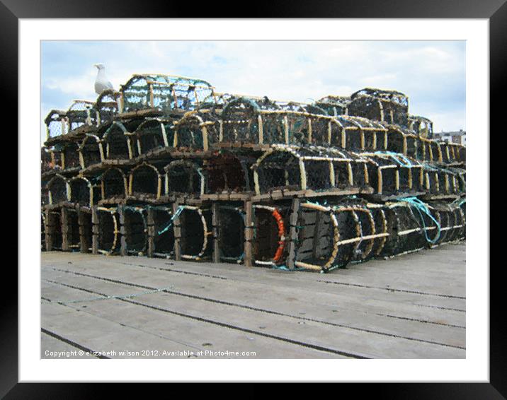 Seagull on Whitby Lobster Pots Framed Mounted Print by Elizabeth Wilson-Stephen