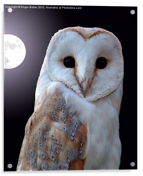 Barn Owl by Full Moon Acrylic by Roger Butler