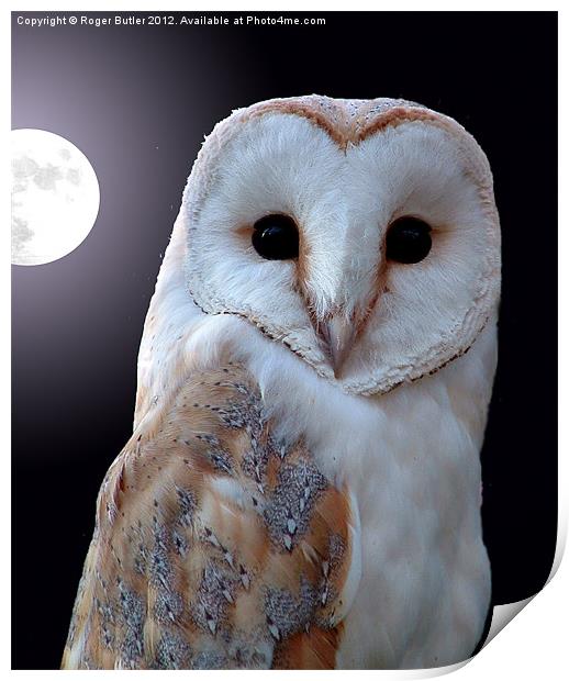 Barn Owl by Full Moon Print by Roger Butler