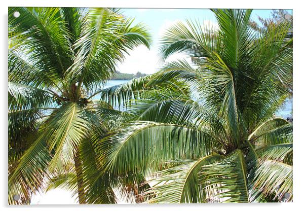 Palm Tree Blue Bay Mauritius Acrylic by Thomas Thorley