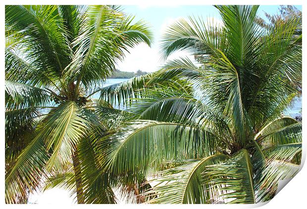 Palm Tree Blue Bay Mauritius Print by Thomas Thorley