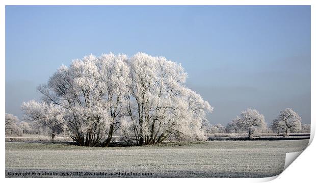 Frosty Morning Print by malcolm fish