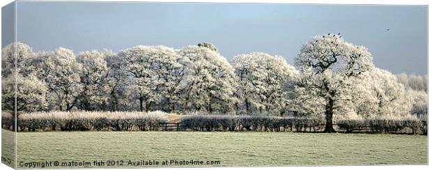 FROSTY MORNING TOO Canvas Print by malcolm fish