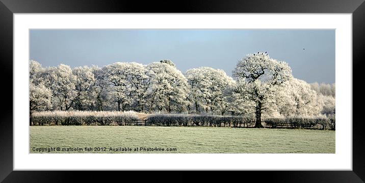 FROSTY MORNING TOO Framed Mounted Print by malcolm fish