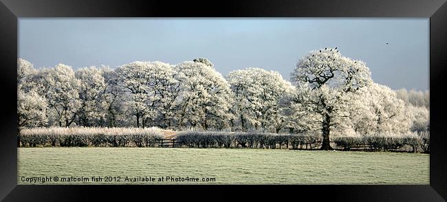 FROSTY MORNING TOO Framed Print by malcolm fish