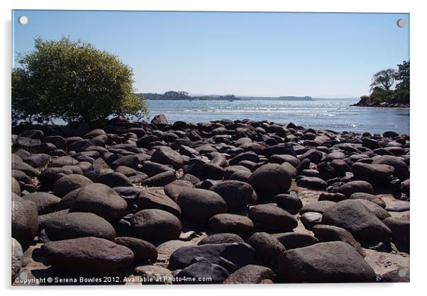 Boulders at Palolem Beach, Goa, India Acrylic by Serena Bowles