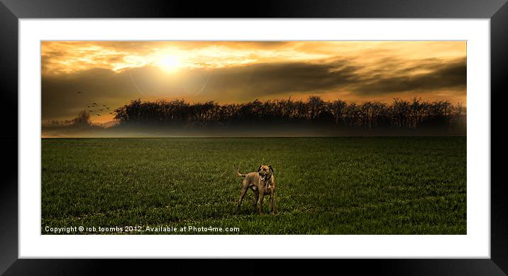 THE EARLY MORNING RIDGEBACK Framed Mounted Print by Rob Toombs