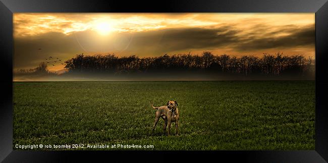 THE EARLY MORNING RIDGEBACK Framed Print by Rob Toombs