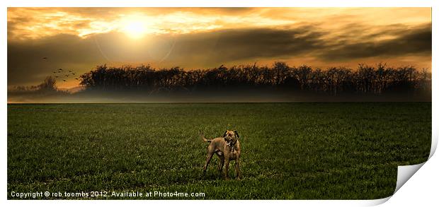 THE EARLY MORNING RIDGEBACK Print by Rob Toombs