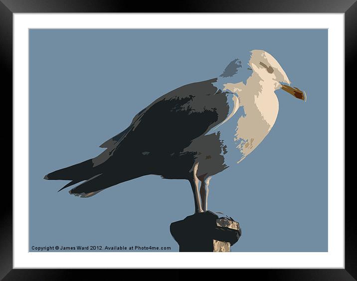 Abstract Gull Framed Mounted Print by James Ward