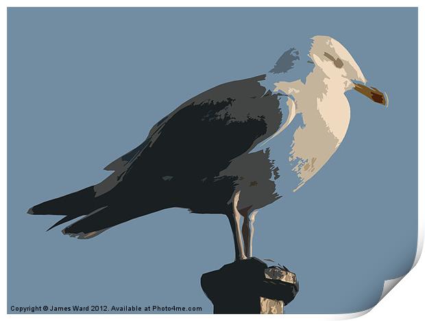 Abstract Gull Print by James Ward
