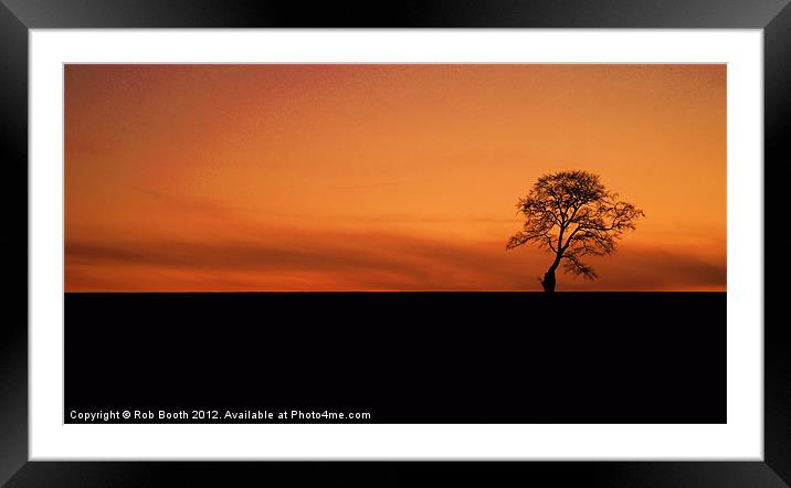 'Sunset Tree' Framed Mounted Print by Rob Booth