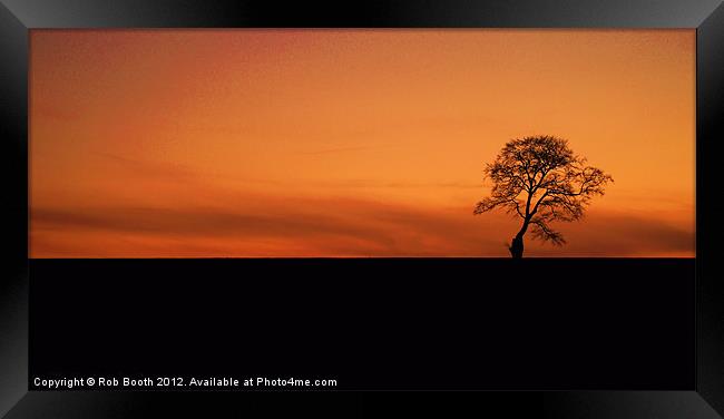 'Sunset Tree' Framed Print by Rob Booth