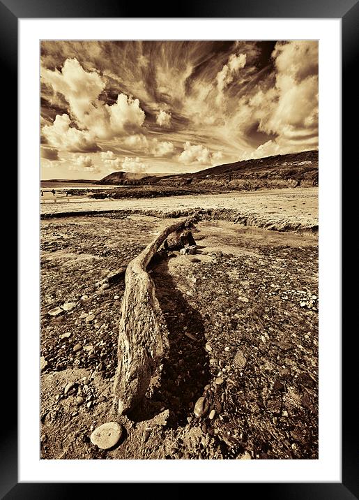 Driftwood Sepia Framed Mounted Print by Steve Purnell