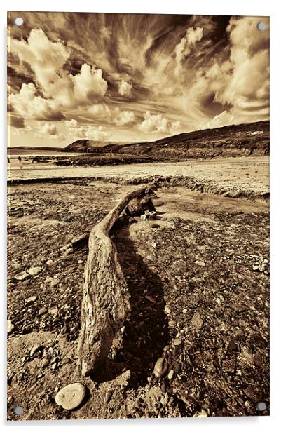 Driftwood Sepia Acrylic by Steve Purnell