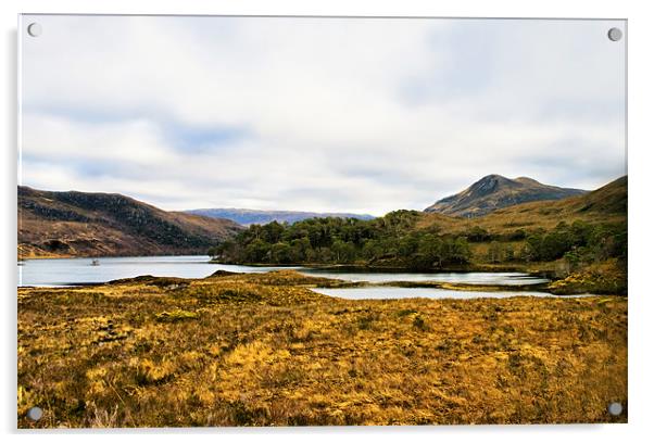Loch Clair, Glen Torridon Acrylic by Jacqi Elmslie
