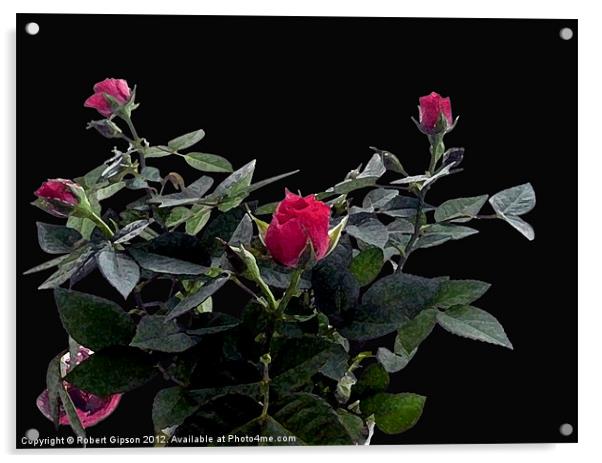 Rose Bush Acrylic by Robert Gipson