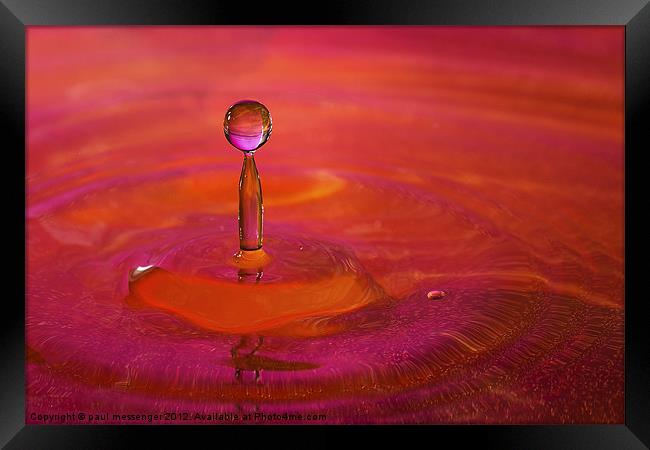 Water Droplet Framed Print by Paul Messenger