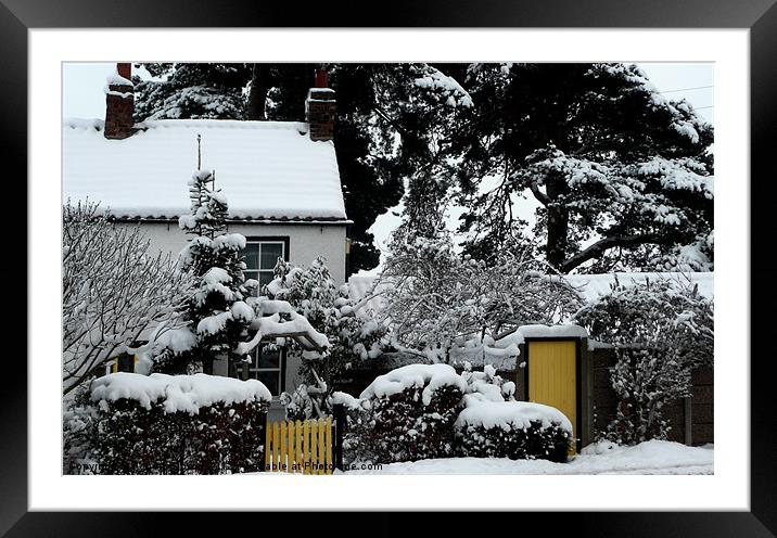 Winter Bungalow with yellow gate Framed Mounted Print by Robert Gipson