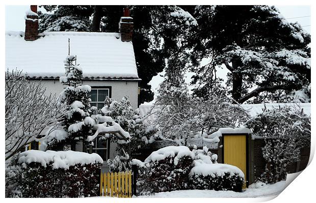 Winter Bungalow with yellow gate Print by Robert Gipson