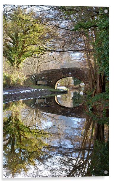 Winter canal scene - Llangattock Acrylic by Mike Davies