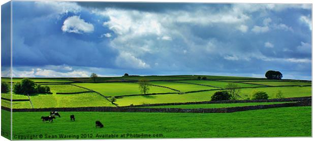 Derbyshire Canvas Print by Sean Wareing